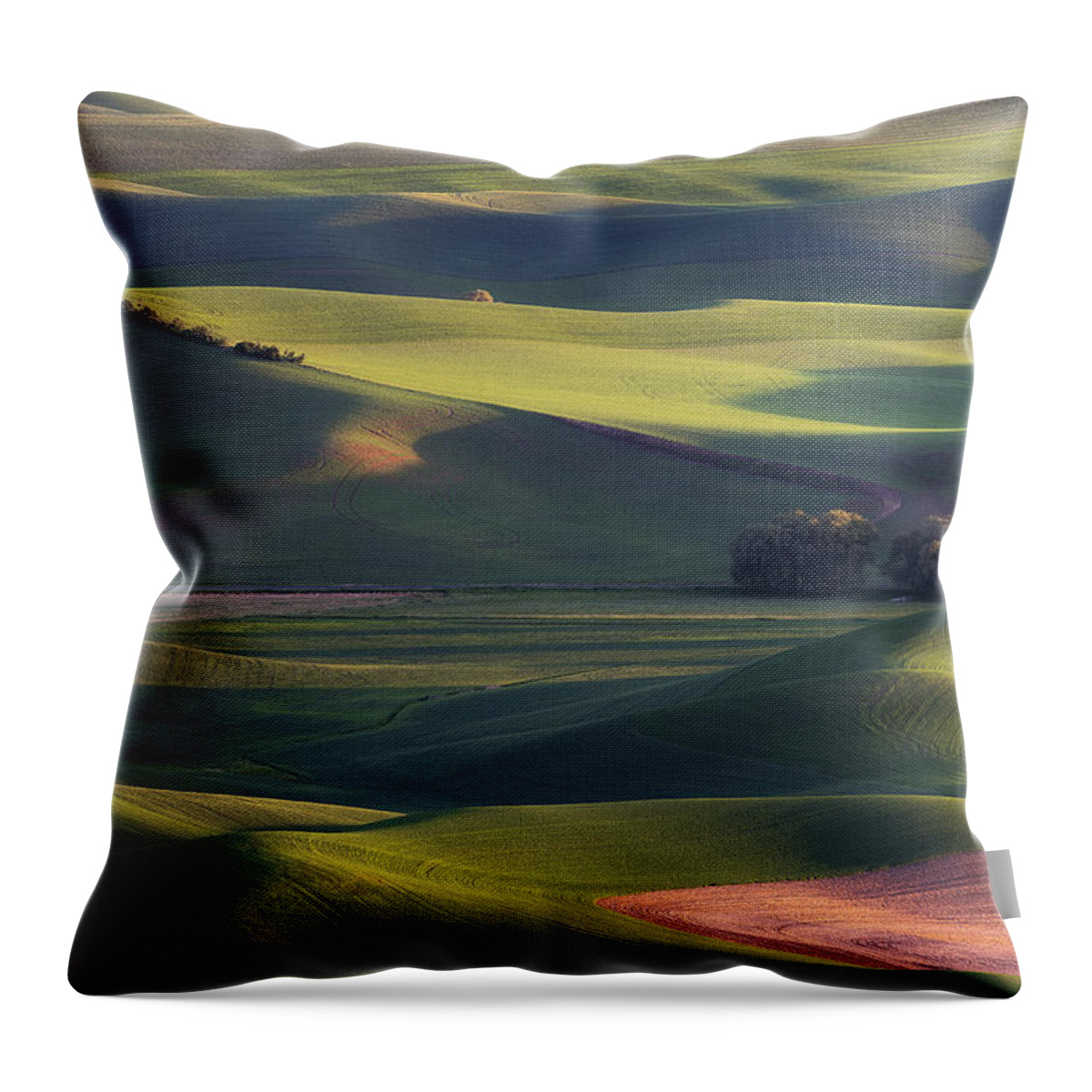 steptoe Butte Throw Pillow featuring the photograph Lines and Shadows by Ryan Manuel