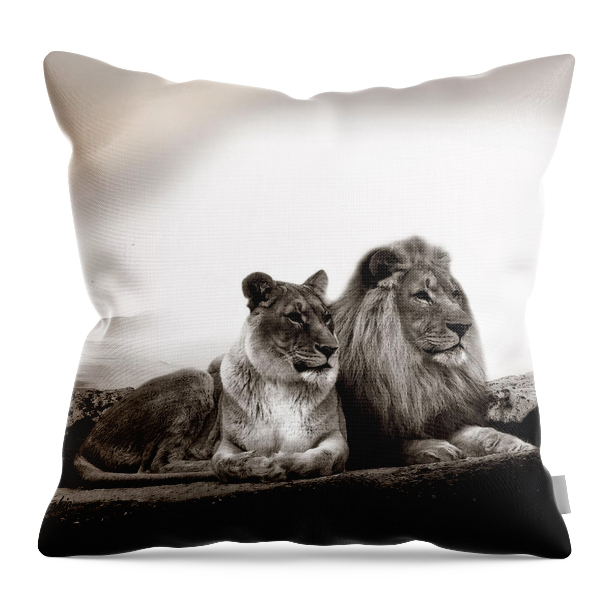 Lions Throw Pillow featuring the photograph Lion Couple In Sunset by Christine Sponchia