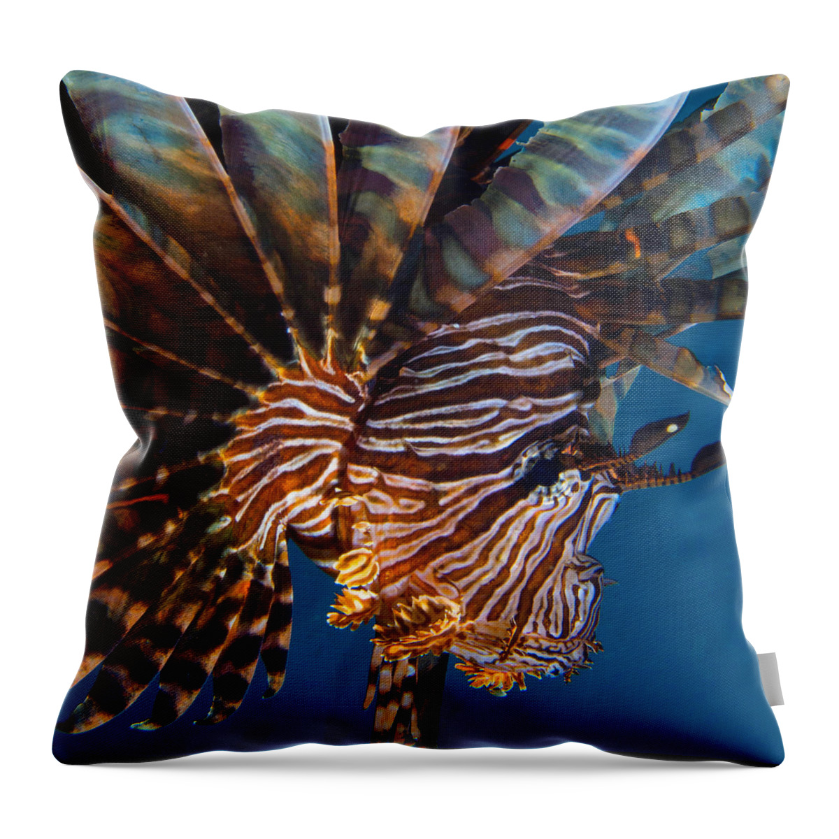 Nature Throw Pillow featuring the photograph Lion Fish in Full Flare by Gary Hughes