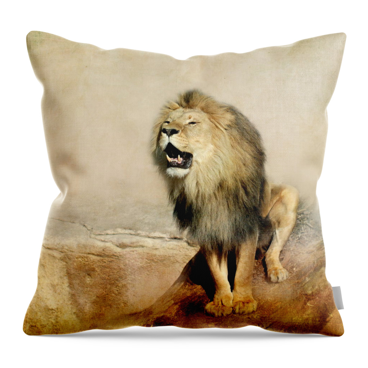 Lion Throw Pillow featuring the photograph Lion by Heike Hultsch