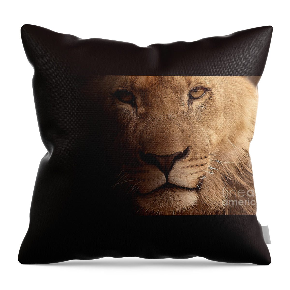 Lion Throw Pillow featuring the photograph Lion in darkness by Christine Sponchia