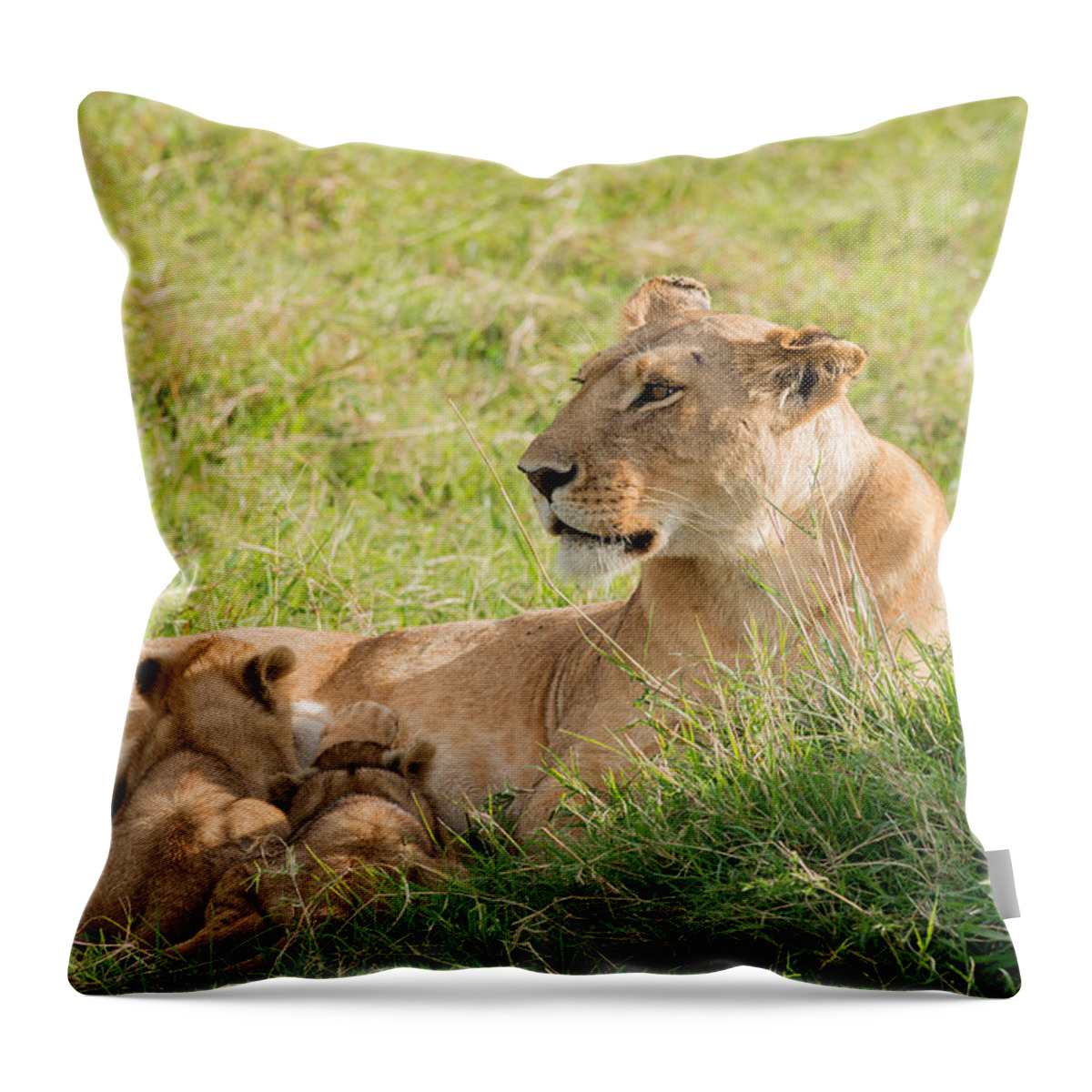 Adult Throw Pillow featuring the photograph Lioness Nursing Cubs, Kenya by James Steinberg