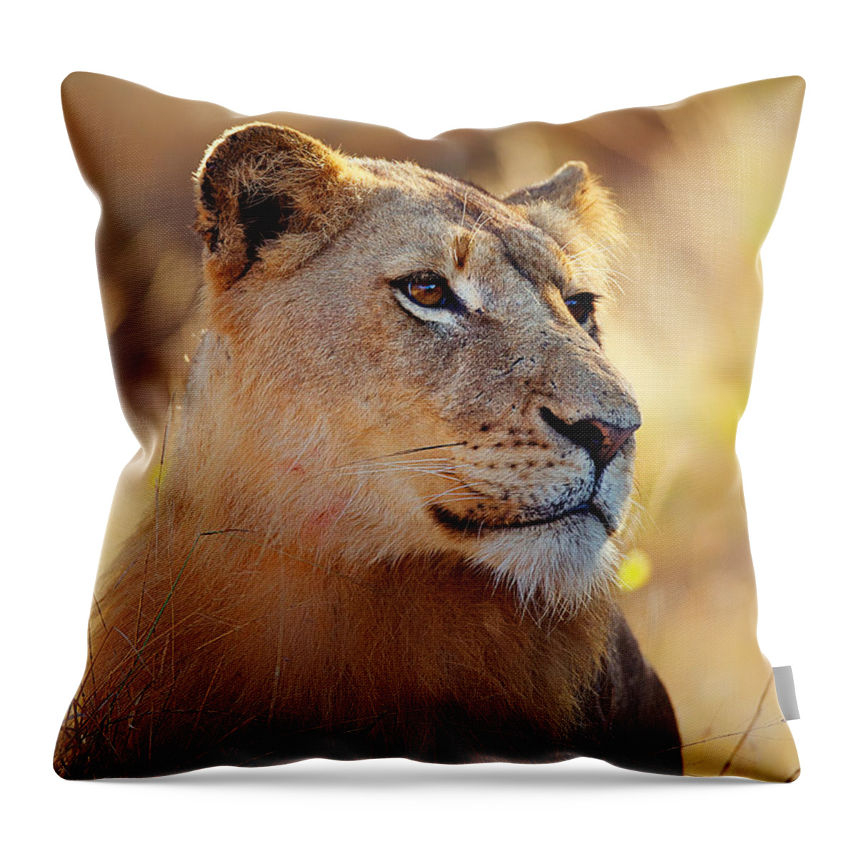 Lion Throw Pillow featuring the photograph Lioness portrait lying in grass by Johan Swanepoel