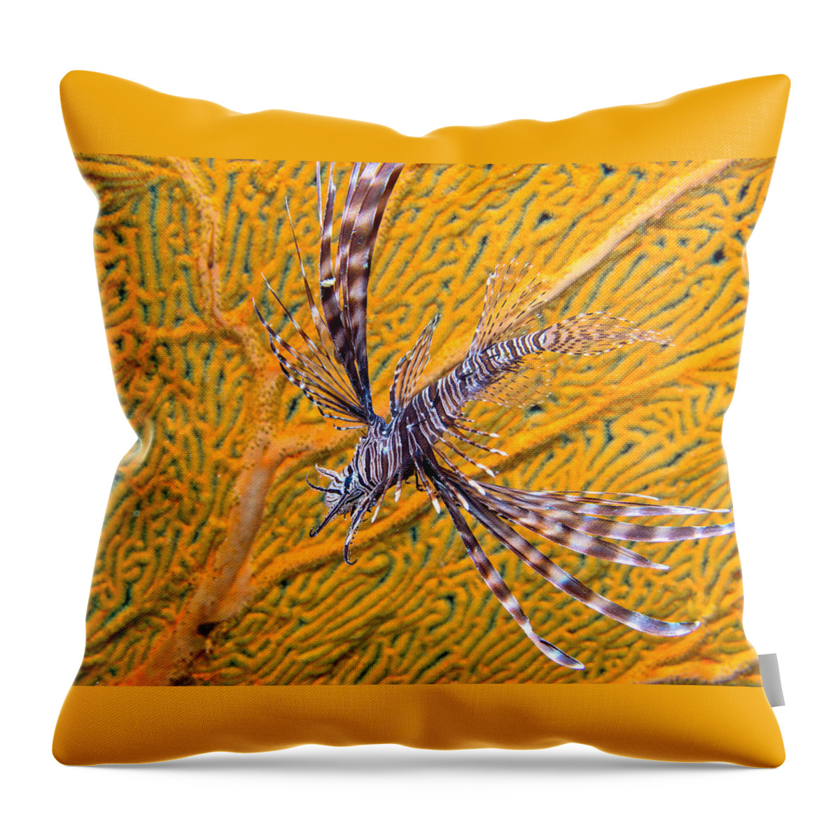 Nature Throw Pillow featuring the photograph Lionfish Against Yellow Fan Coral by Gary Hughes