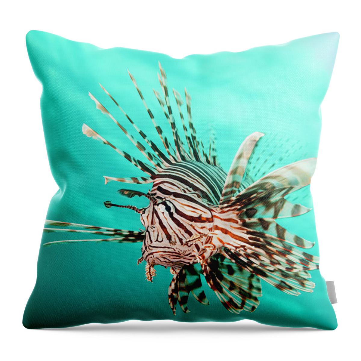 Underwater Throw Pillow featuring the photograph Lionfish by Michele Westmorland