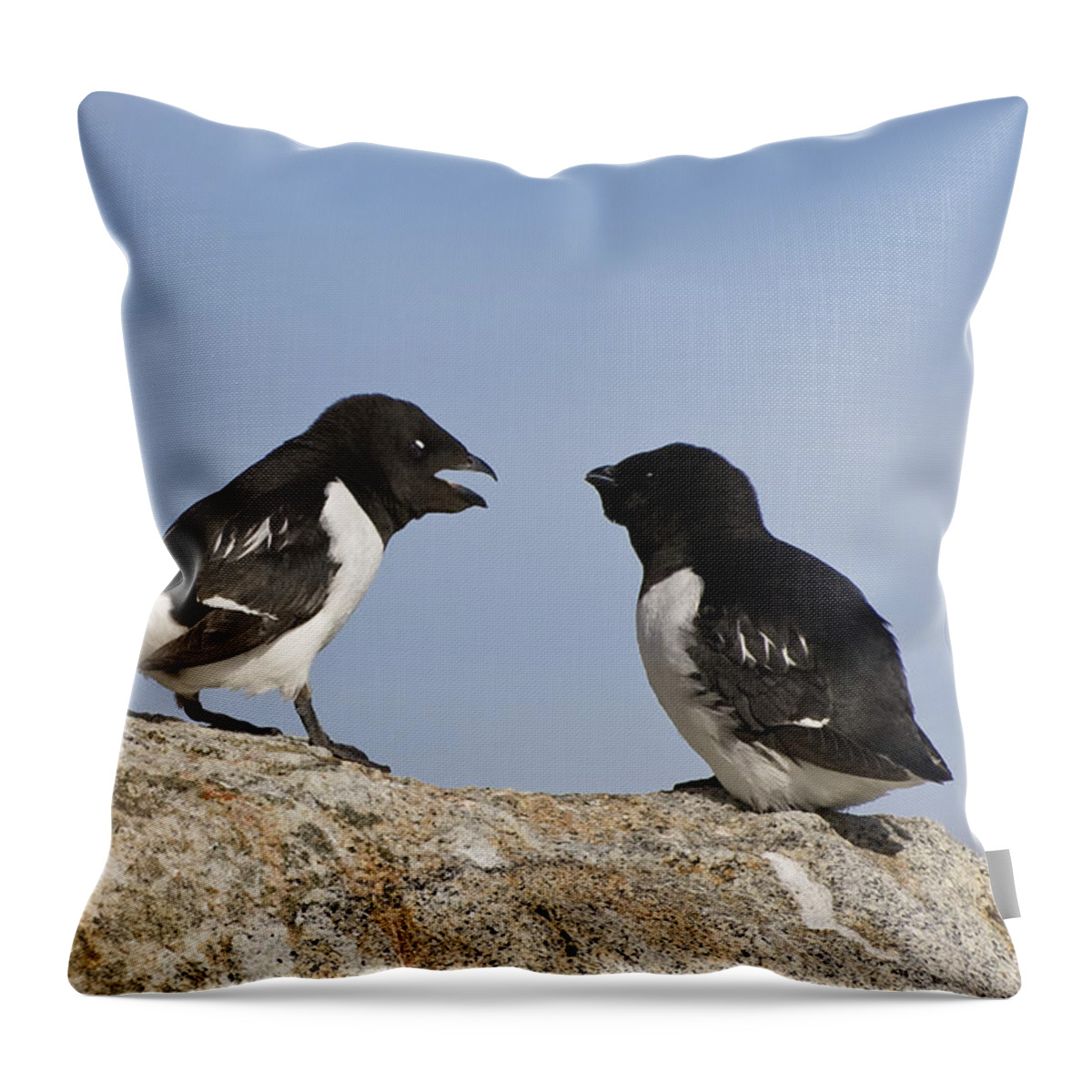 Feb0514 Throw Pillow featuring the photograph Little Auk Pair Spitsbergen Norway by Konrad Wothe