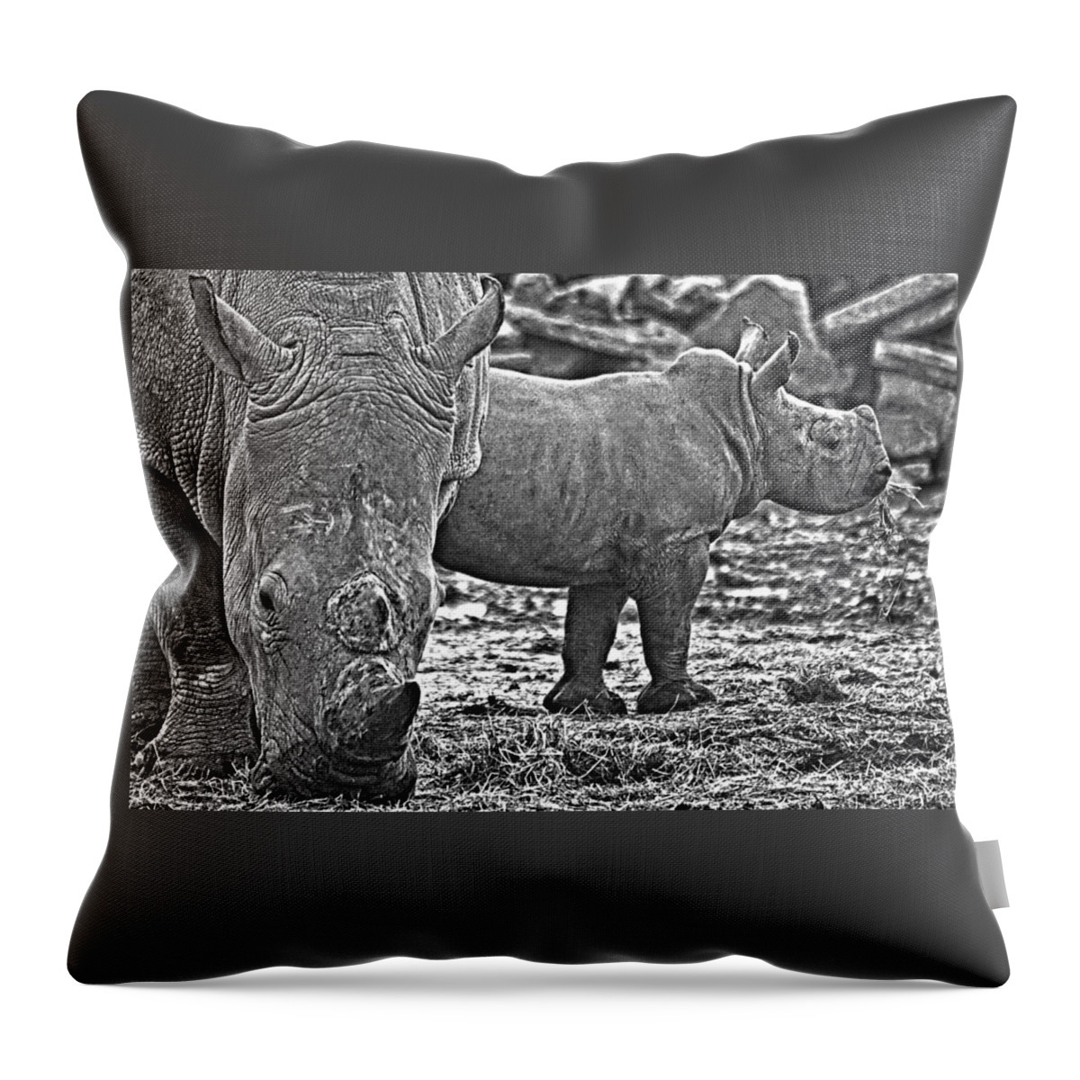 Rhinoceros Images Throw Pillow featuring the digital art Little Big Horn by David Davies