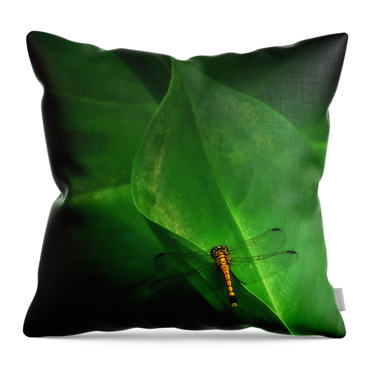 Nature Throw Pillow featuring the photograph Little Dragon in Dappled Shade by Deborah Smith