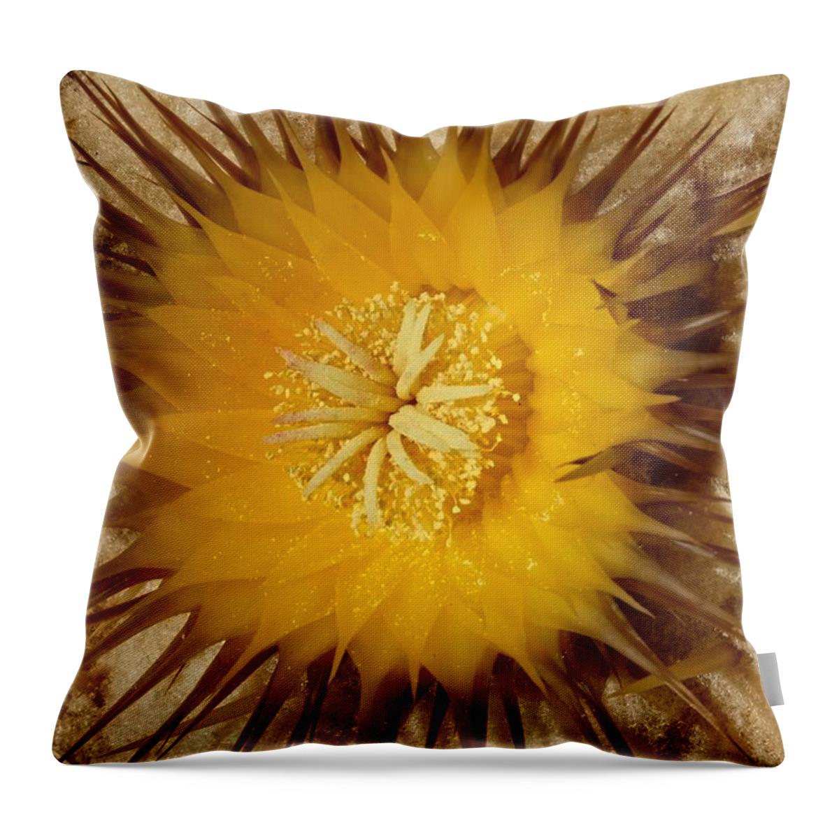 Nature Throw Pillow featuring the photograph Little Golden Wonder by Lucinda Walter