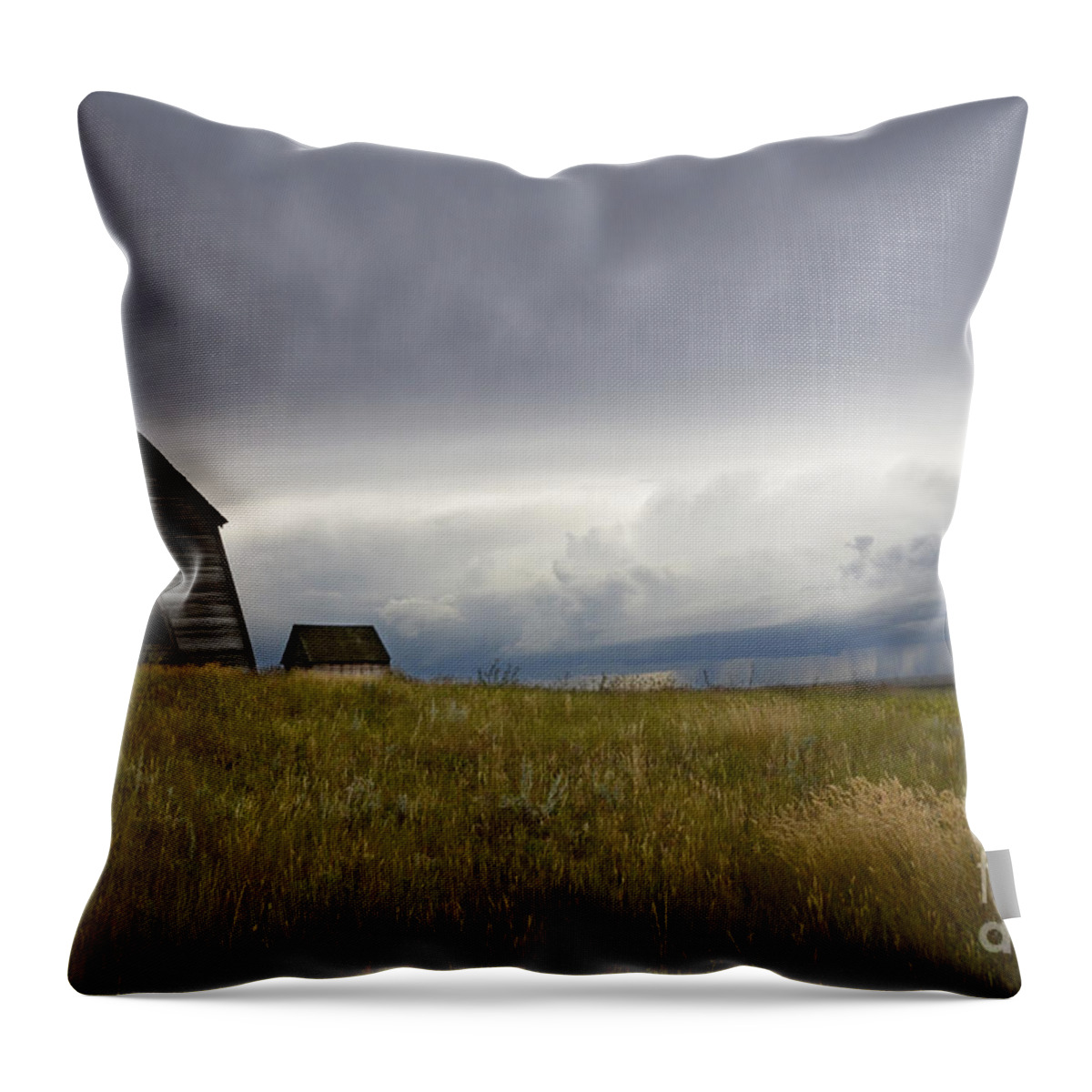Homestead Throw Pillow featuring the photograph Little Remains by Bob Christopher