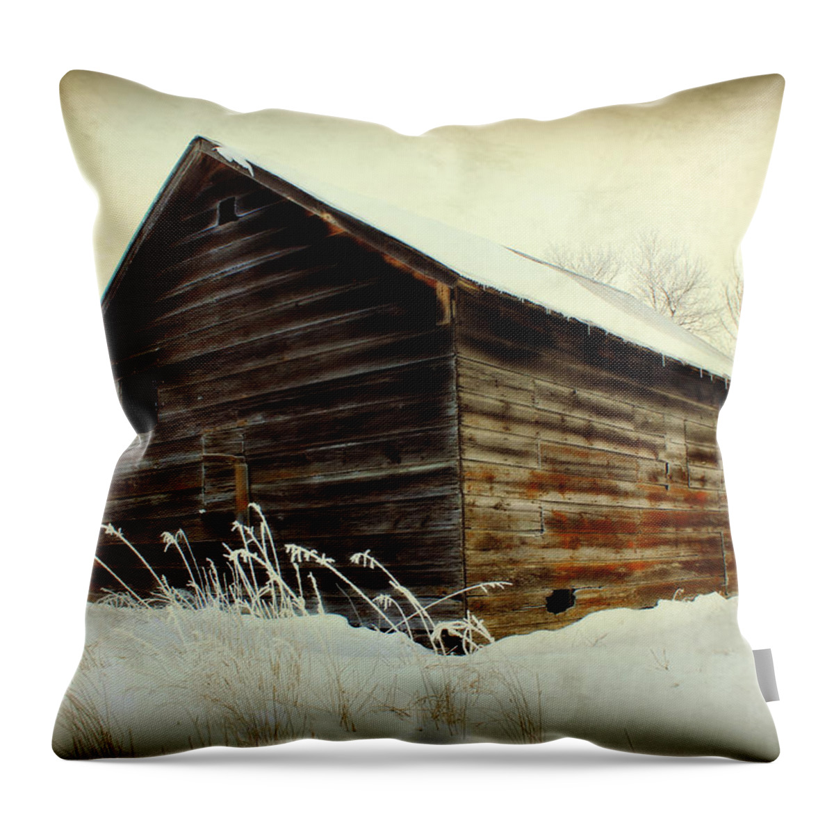 Barn Throw Pillow featuring the photograph Little Shed by Julie Hamilton