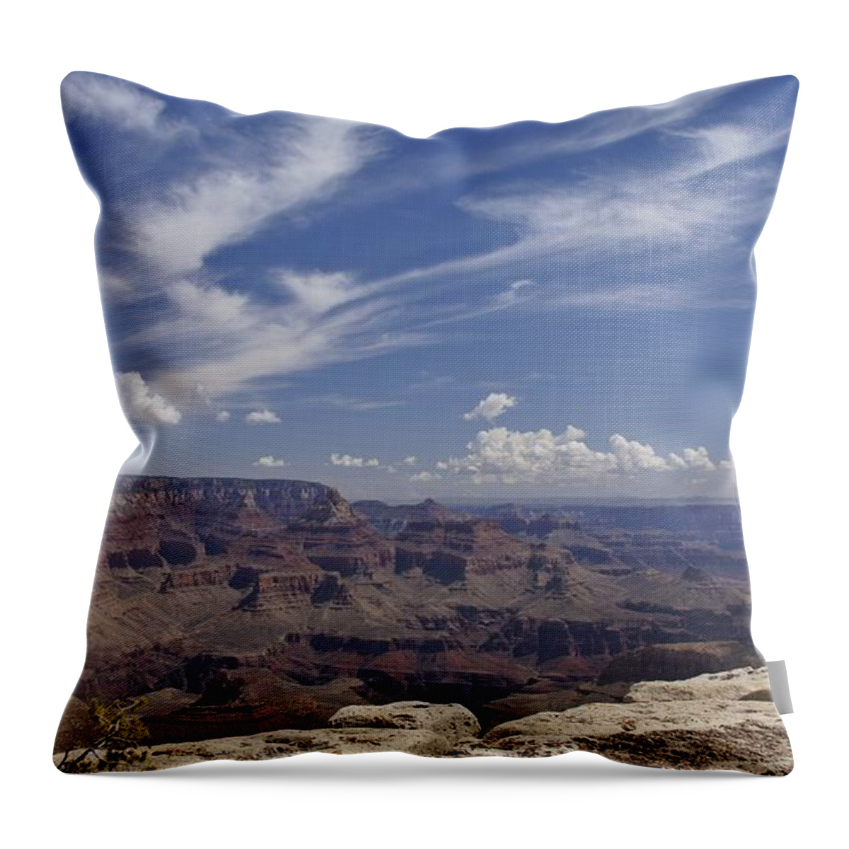 Pine Tree Throw Pillow featuring the photograph Little Tree...Grand Canyon by Brian Kamprath