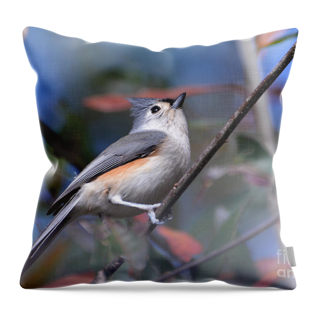Birds Throw Pillow featuring the photograph Little Tufted Titmouse by Kathy Baccari