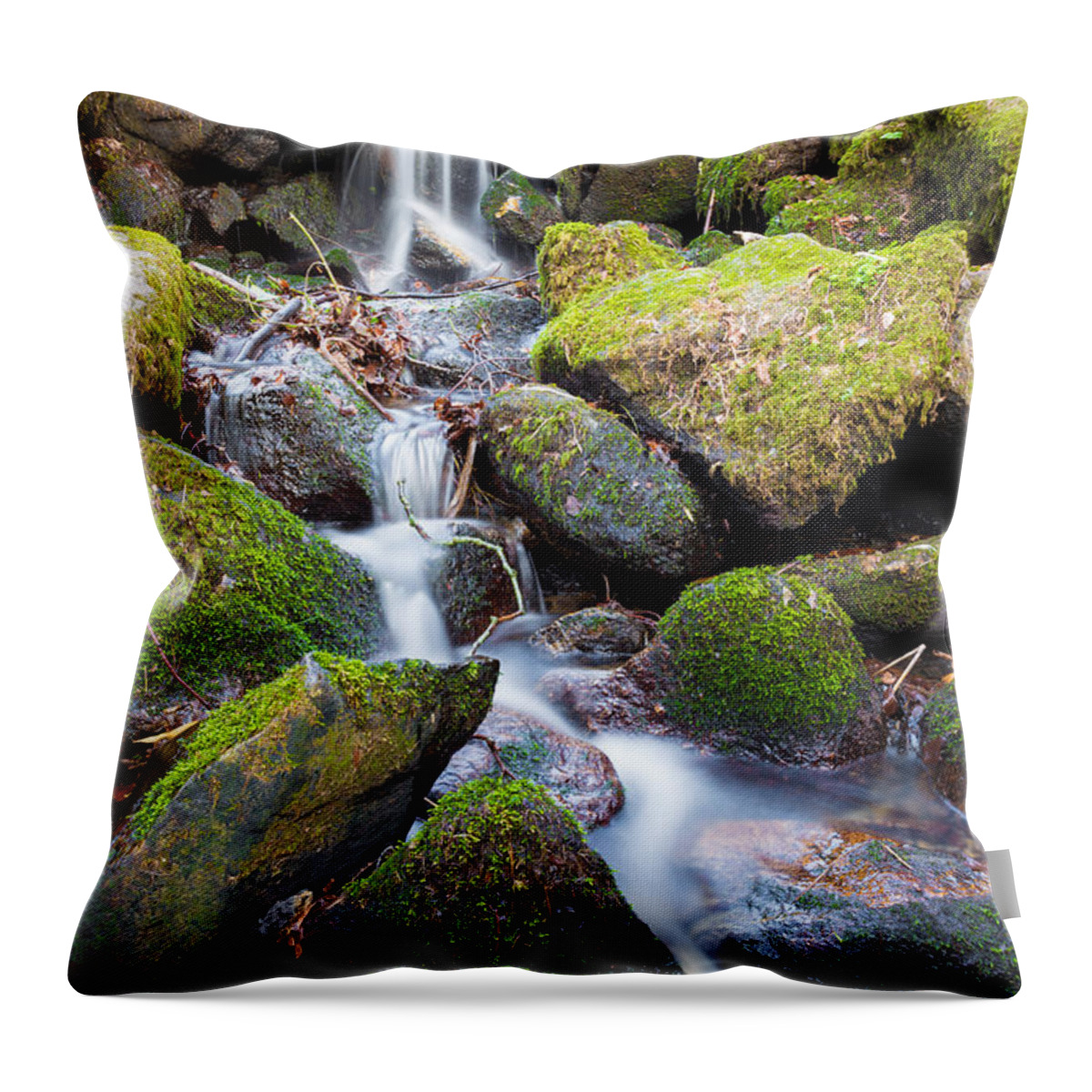 Dublin Throw Pillow featuring the photograph Little Waterfall in Marlay Park by Semmick Photo