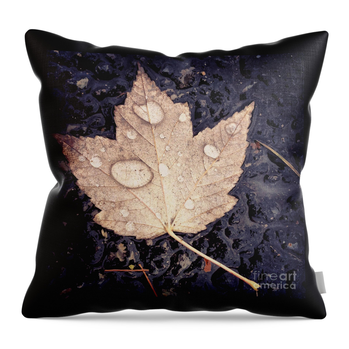 Leaf Throw Pillow featuring the photograph Live With Intention by Kerri Farley