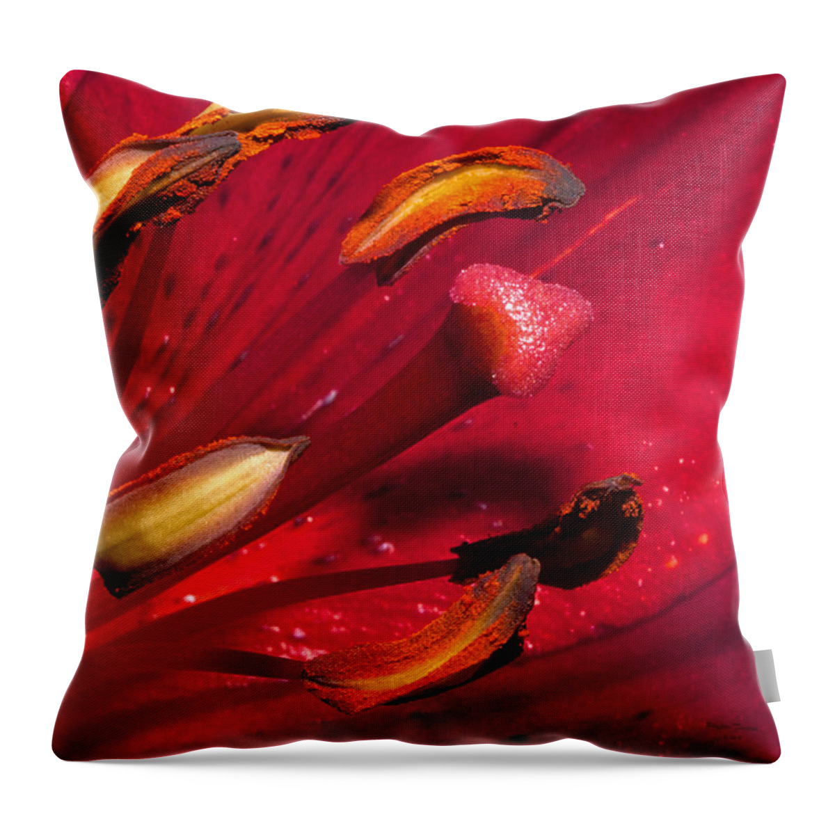 Flower Throw Pillow featuring the photograph Living Inside A Lily by Phyllis Denton
