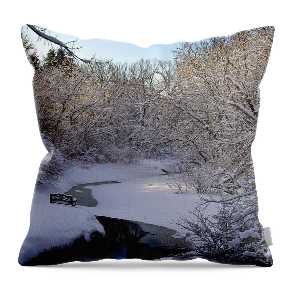 Alone Throw Pillow featuring the photograph Living Life in Solitude by Brenda Giasson