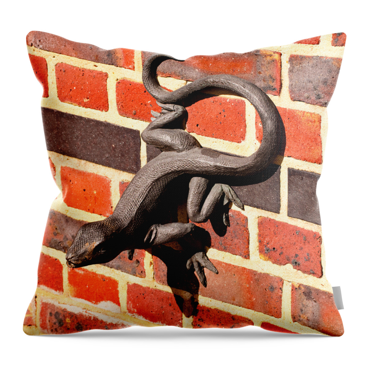 Animal Throw Pillow featuring the photograph Lizard in the Sun by Christi Kraft