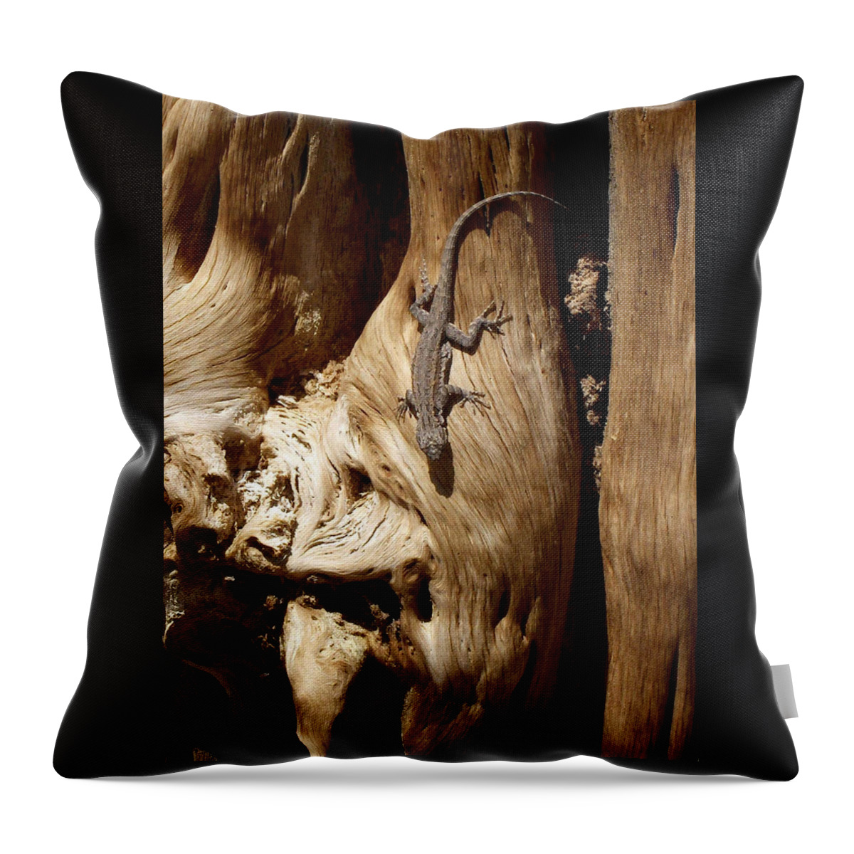 United States Throw Pillow featuring the photograph Lizard by Richard Gehlbach