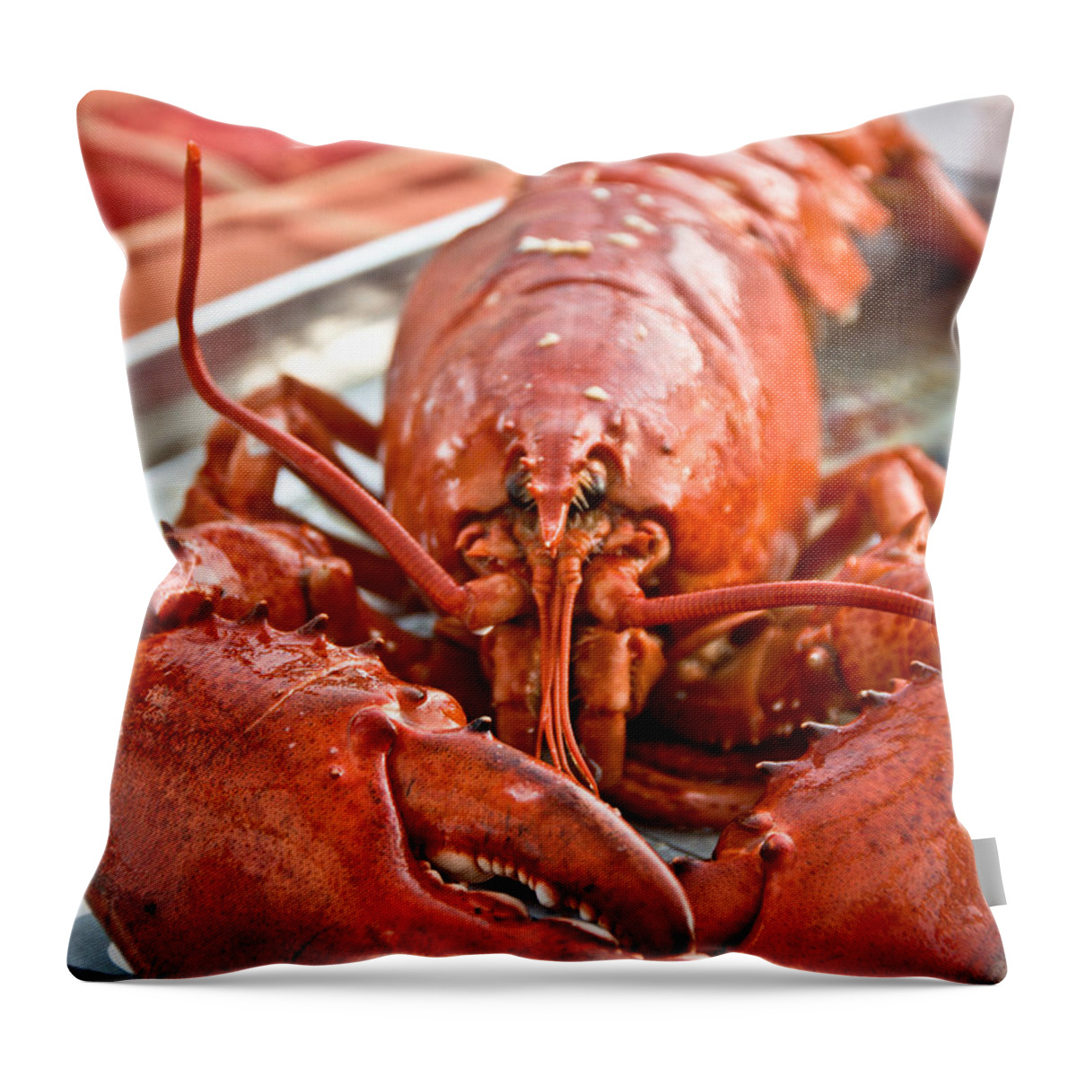  Throw Pillow featuring the photograph Lobster Dinner by Cheryl Baxter