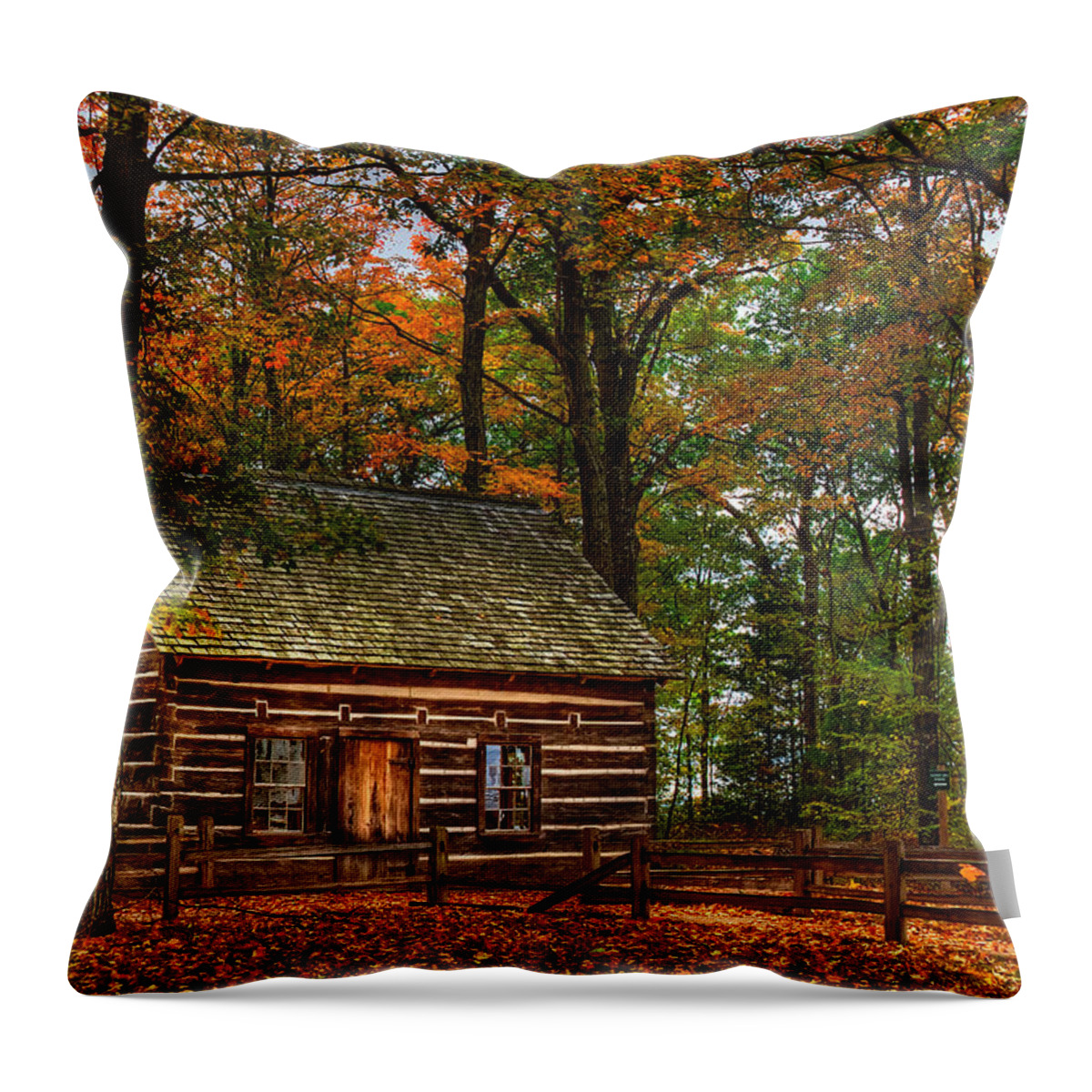 Image Throw Pillow featuring the photograph Log Cabin In Autumn Color by Richard Gregurich