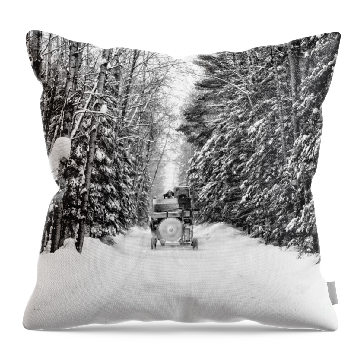Minnesota Throw Pillow featuring the photograph Logger's commute by Lori Dobbs
