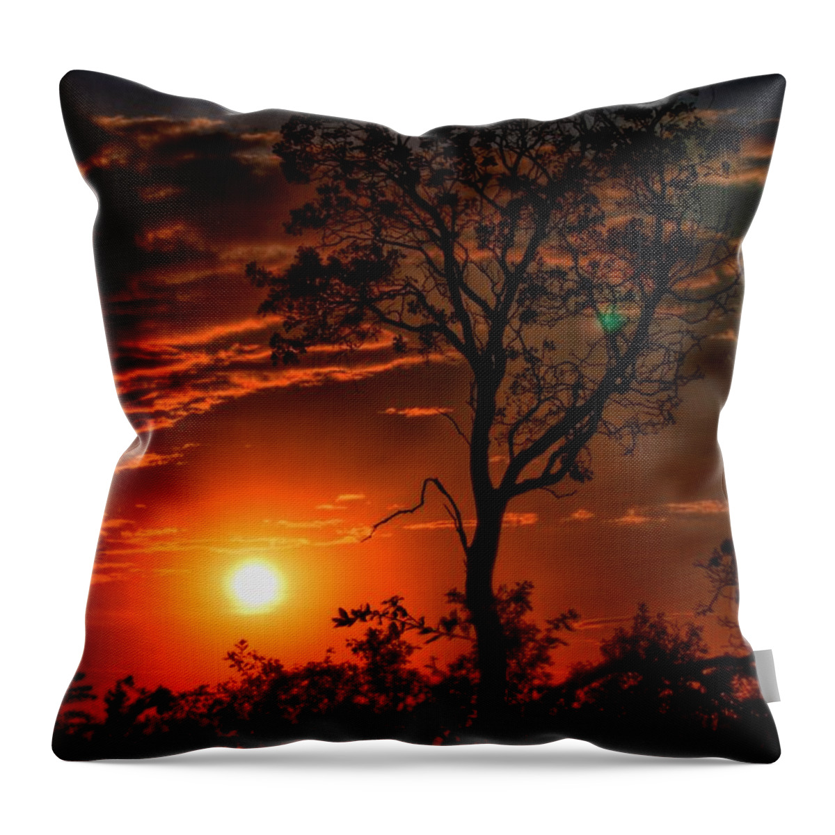 Lone Manzanita Sunset Throw Pillow featuring the photograph Lone Manzanita Sunset by Patrick Witz
