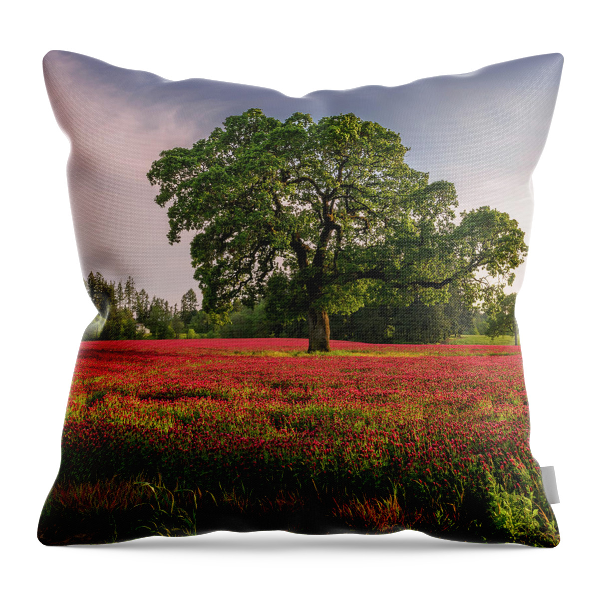 Scenics Throw Pillow featuring the photograph Lone Oak In Clover Field by Jason Harris