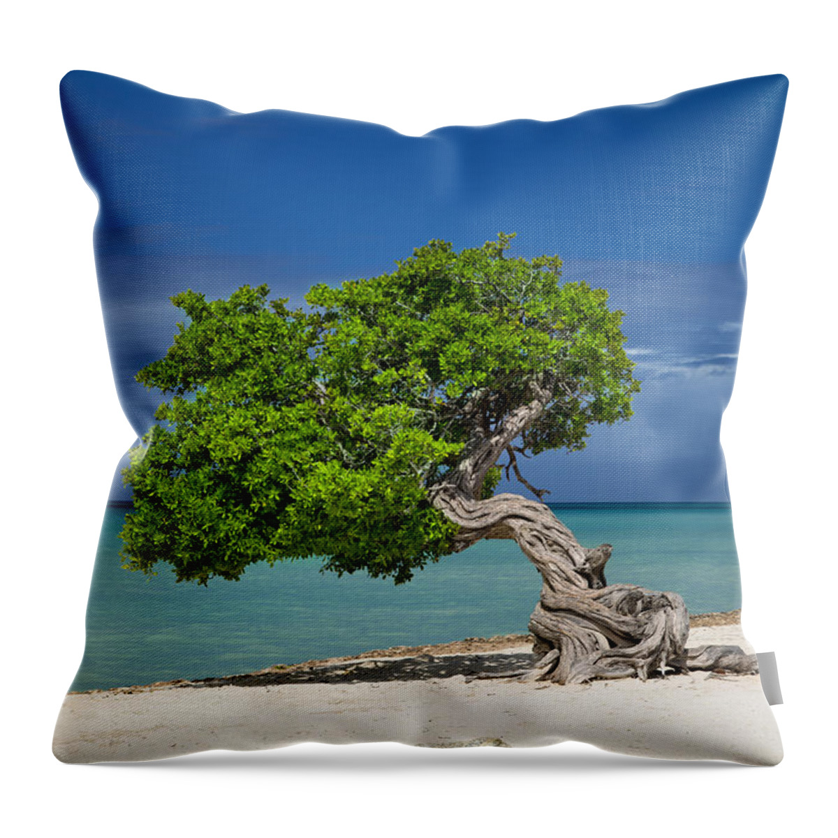 Aruba Throw Pillow featuring the photograph Lone Tree - Aruba by Brian Jannsen