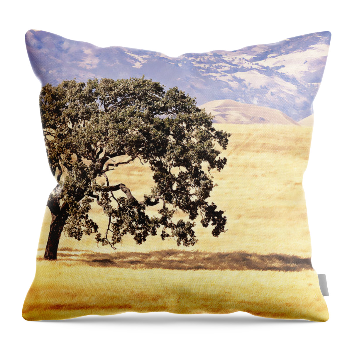 Lone Tree Throw Pillow featuring the photograph Lone Tree by Caitlyn Grasso