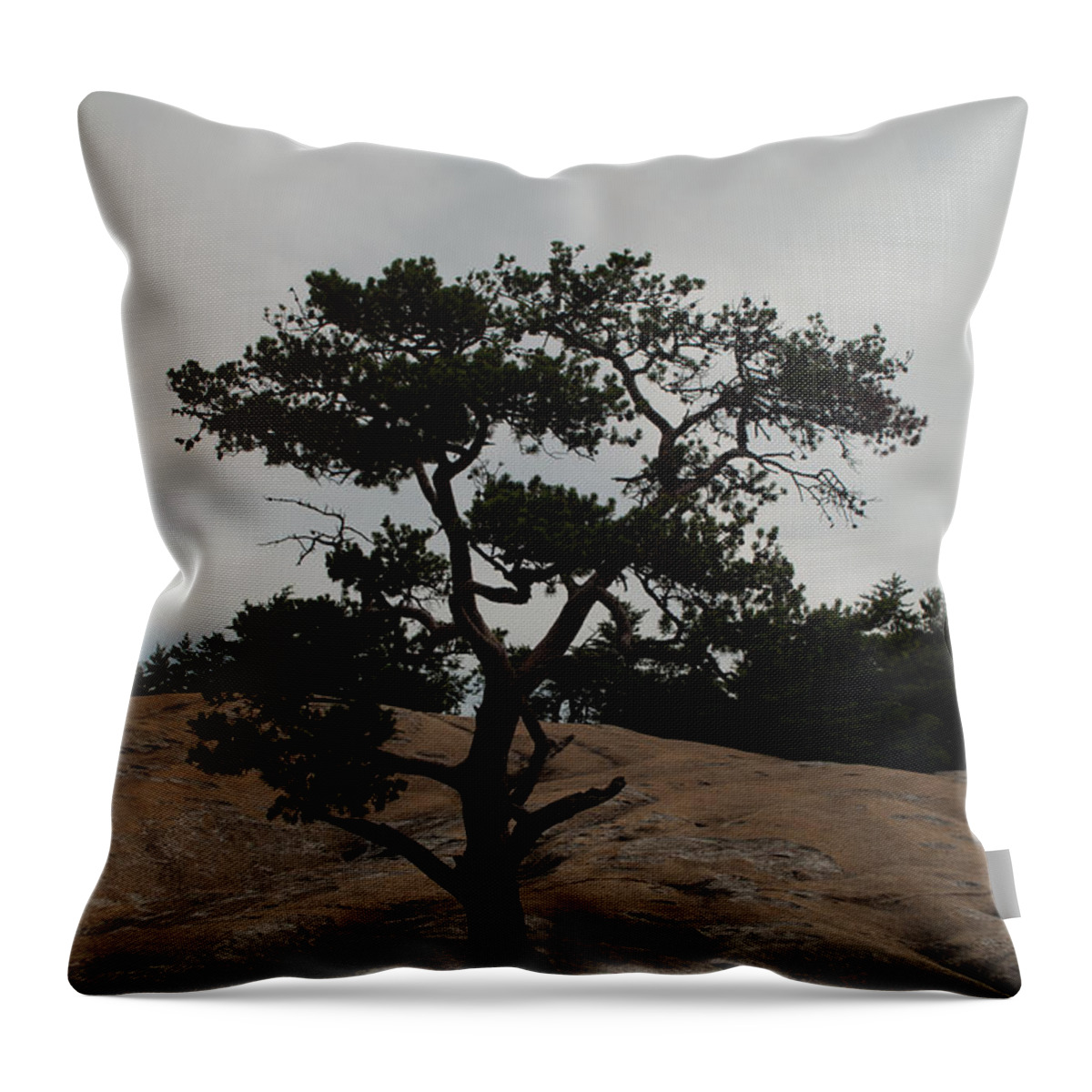 Stone Mountain Throw Pillow featuring the photograph Lone Tree in Stone Mountain State Park North Carolina by Bruce Gourley