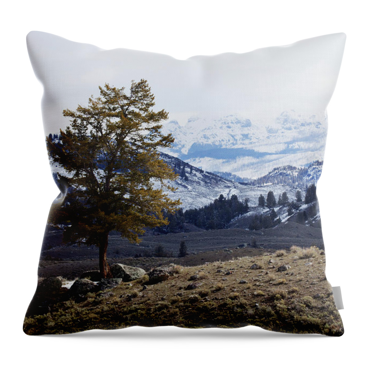 People Throw Pillow featuring the photograph Lone Tree On A Mountain Side In by Susan Dykstra / Design Pics