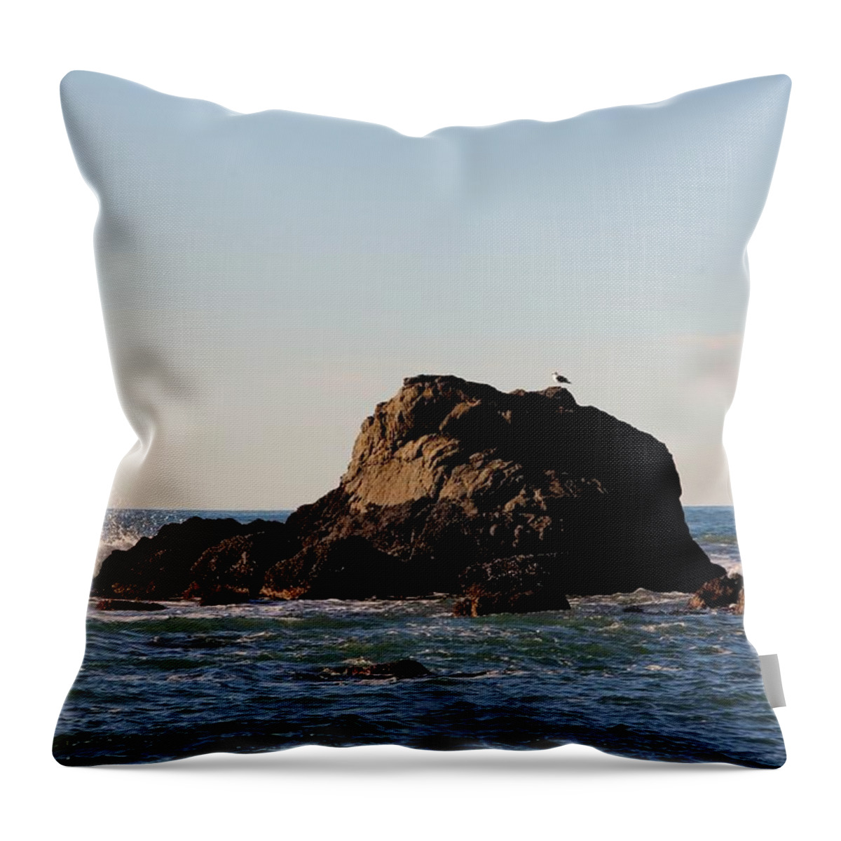 Landscape Throw Pillow featuring the photograph Lonely Bird by Lisa Thompson
