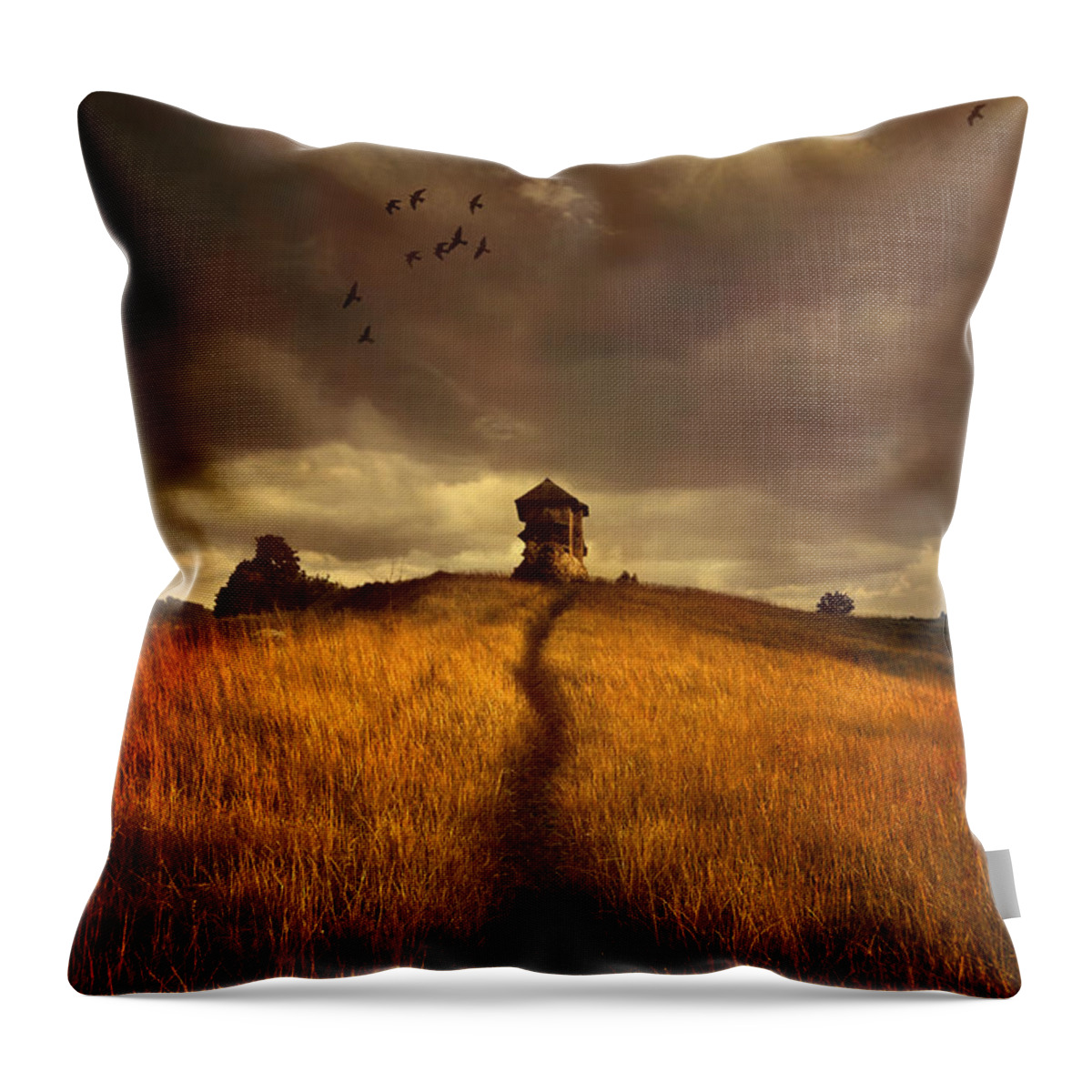 House On The Field Throw Pillow featuring the photograph Lonely house on the hill by Jaroslaw Blaminsky