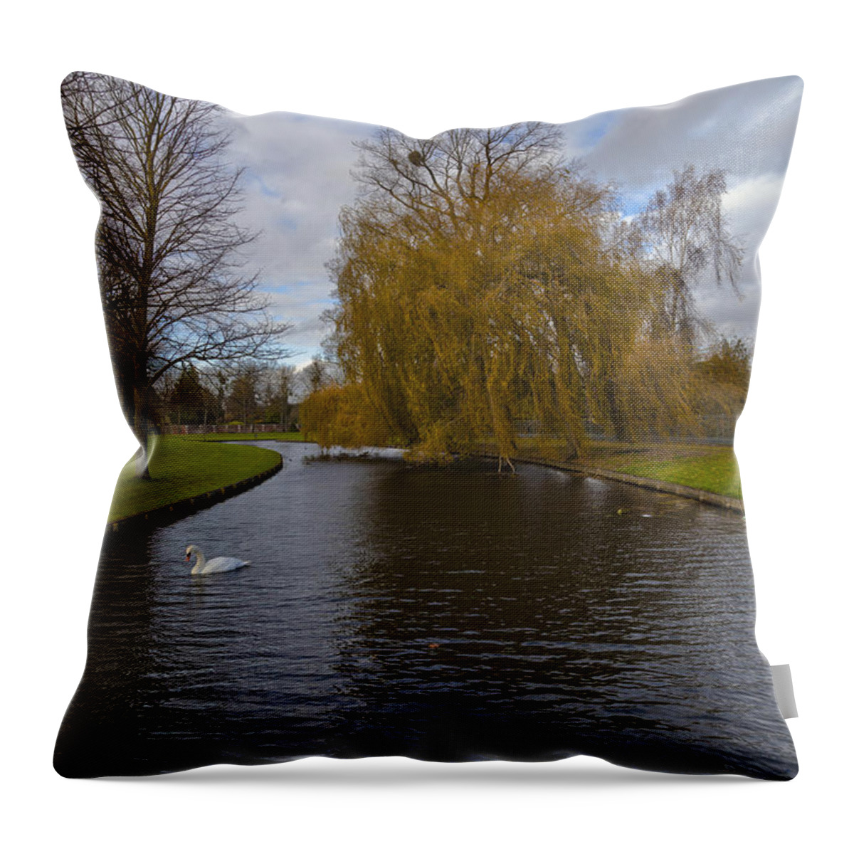 Autumn Throw Pillow featuring the photograph Lonely Swan by Maj Seda