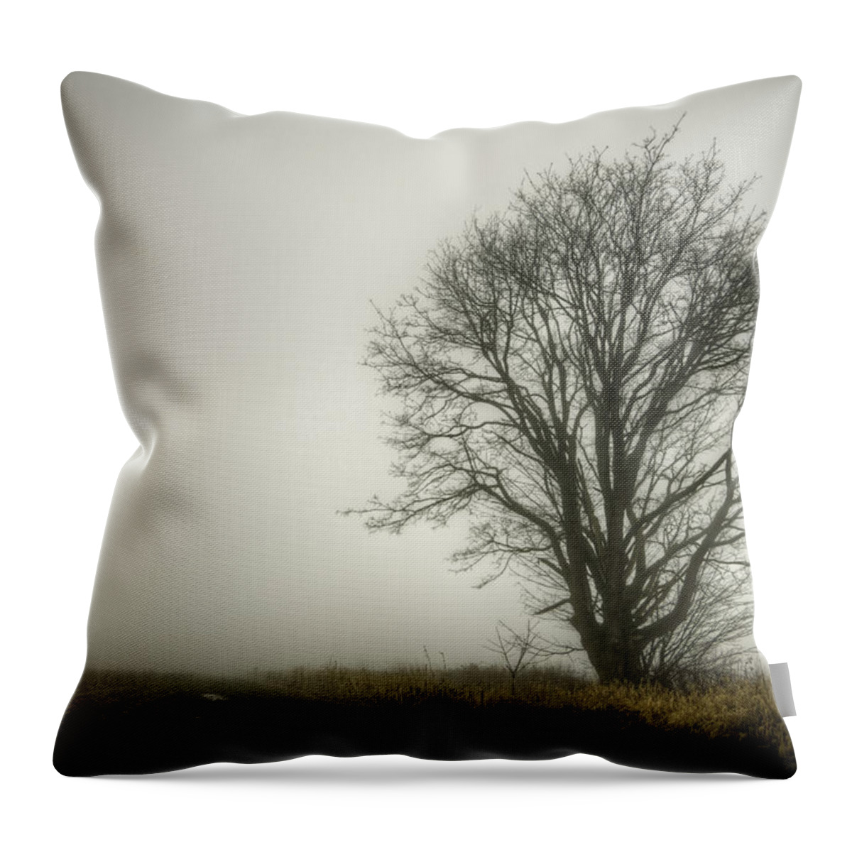 Tree Throw Pillow featuring the photograph Lonesome by Spencer McDonald
