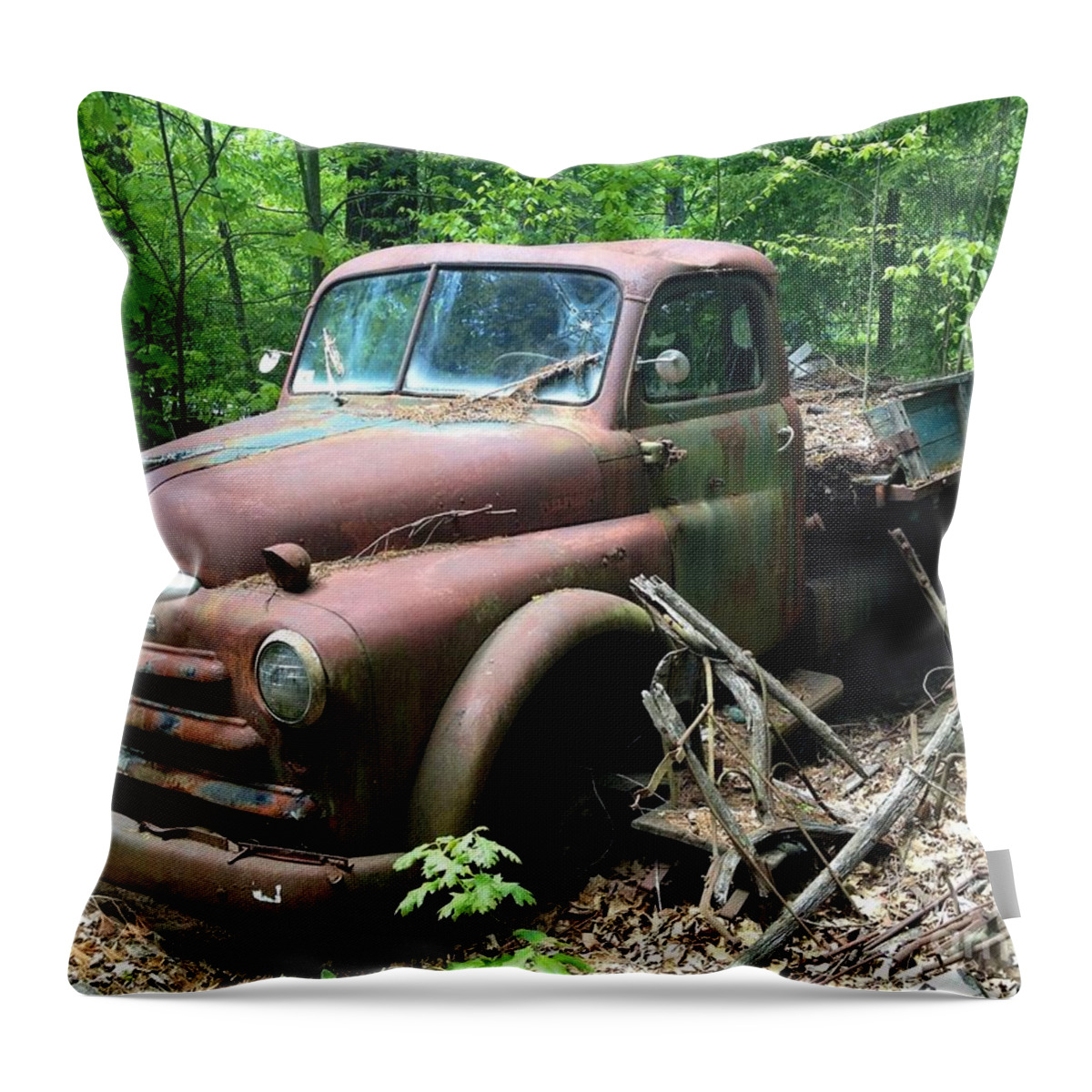 Rusted Throw Pillow featuring the photograph Abandoned by Jim Gillen