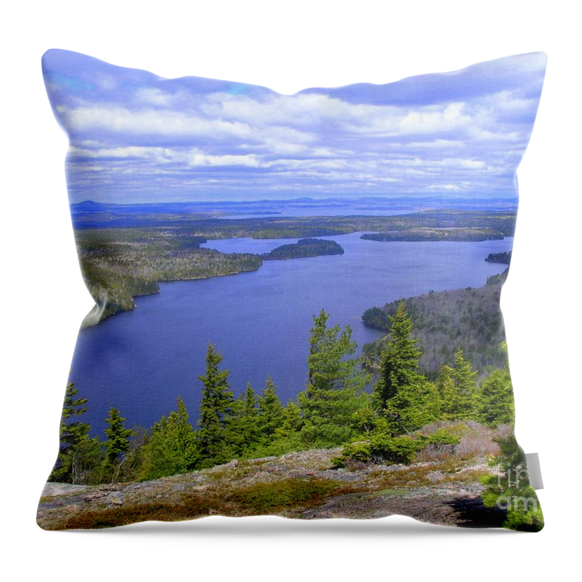 Long Lake Throw Pillow featuring the photograph Long Pond atop Beach Mountain by Elizabeth Dow