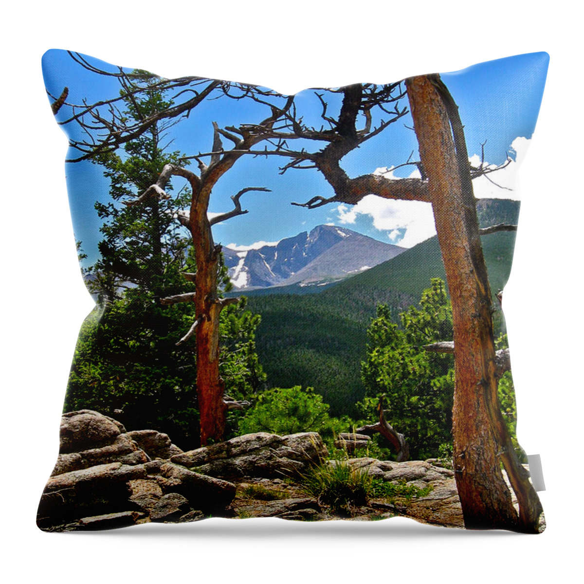 Photo Throw Pillow featuring the photograph Longs Peak by Dan Miller