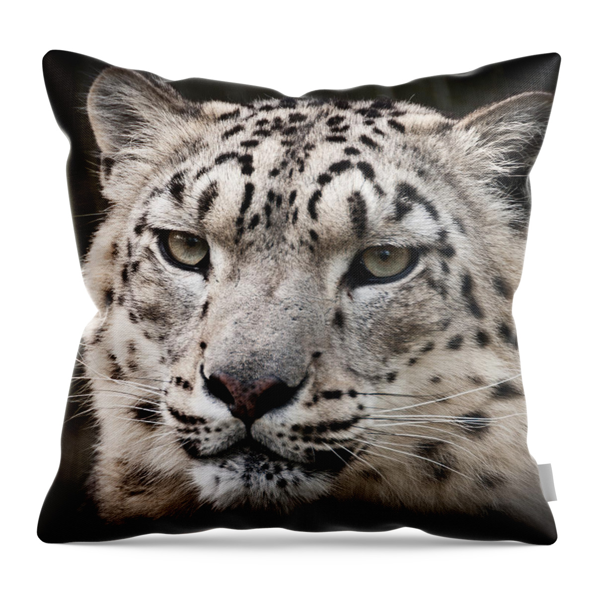 Marwell Throw Pillow featuring the photograph Look into my leopard eyes by Chris Boulton