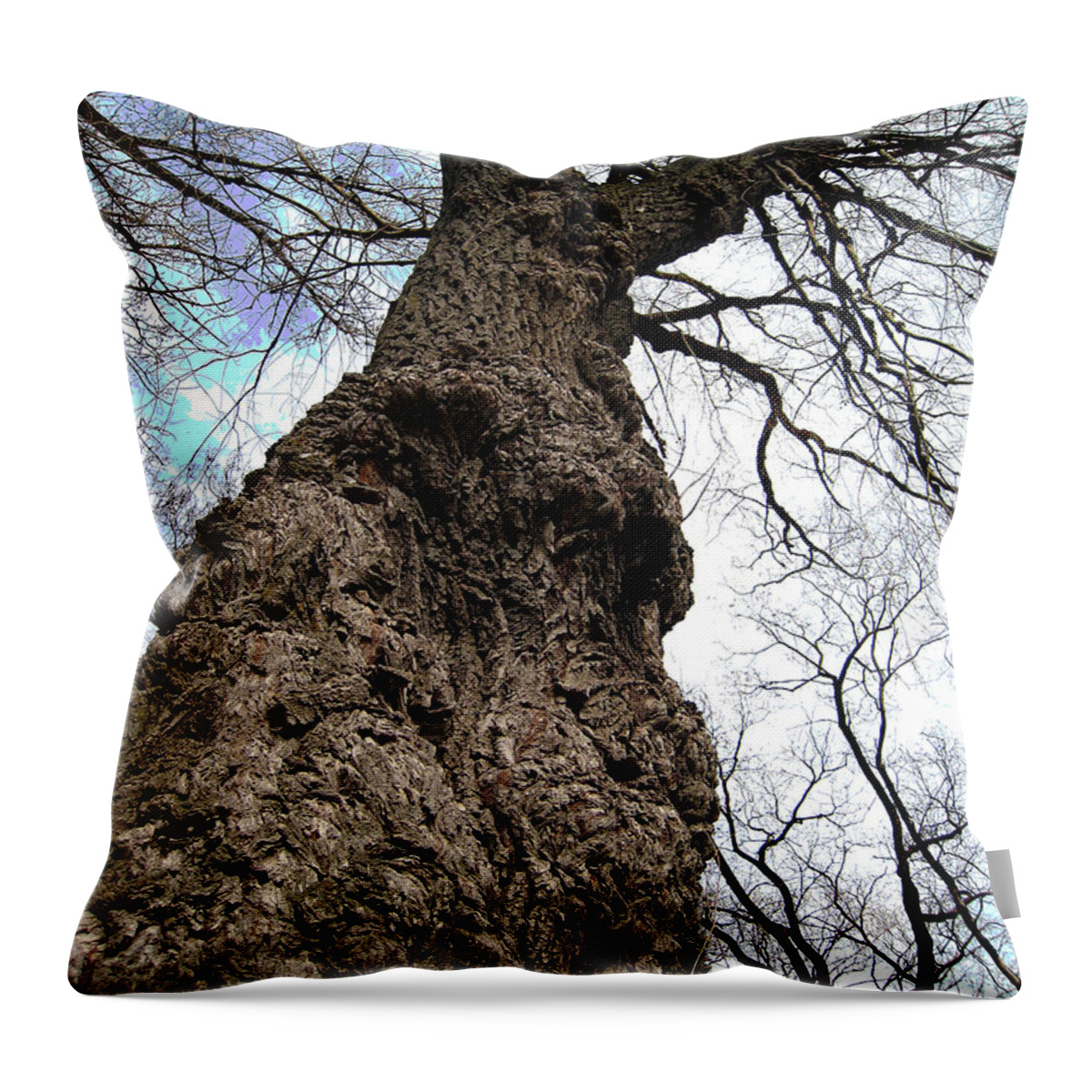 Trees Throw Pillow featuring the photograph Look Up Look Way Up by Nina Silver