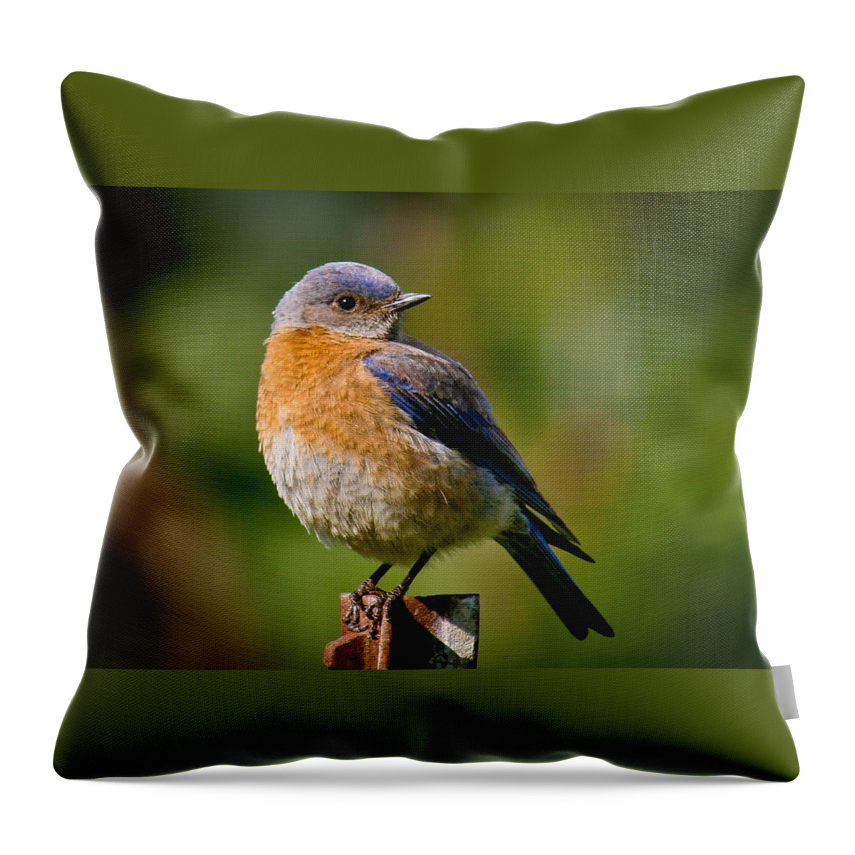 Animals Throw Pillow featuring the photograph Look what I can do by Jean Noren