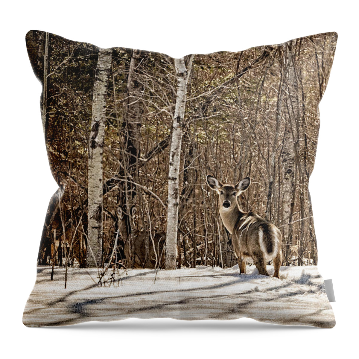 Woods Throw Pillow featuring the photograph Lookin back by Lori Dobbs