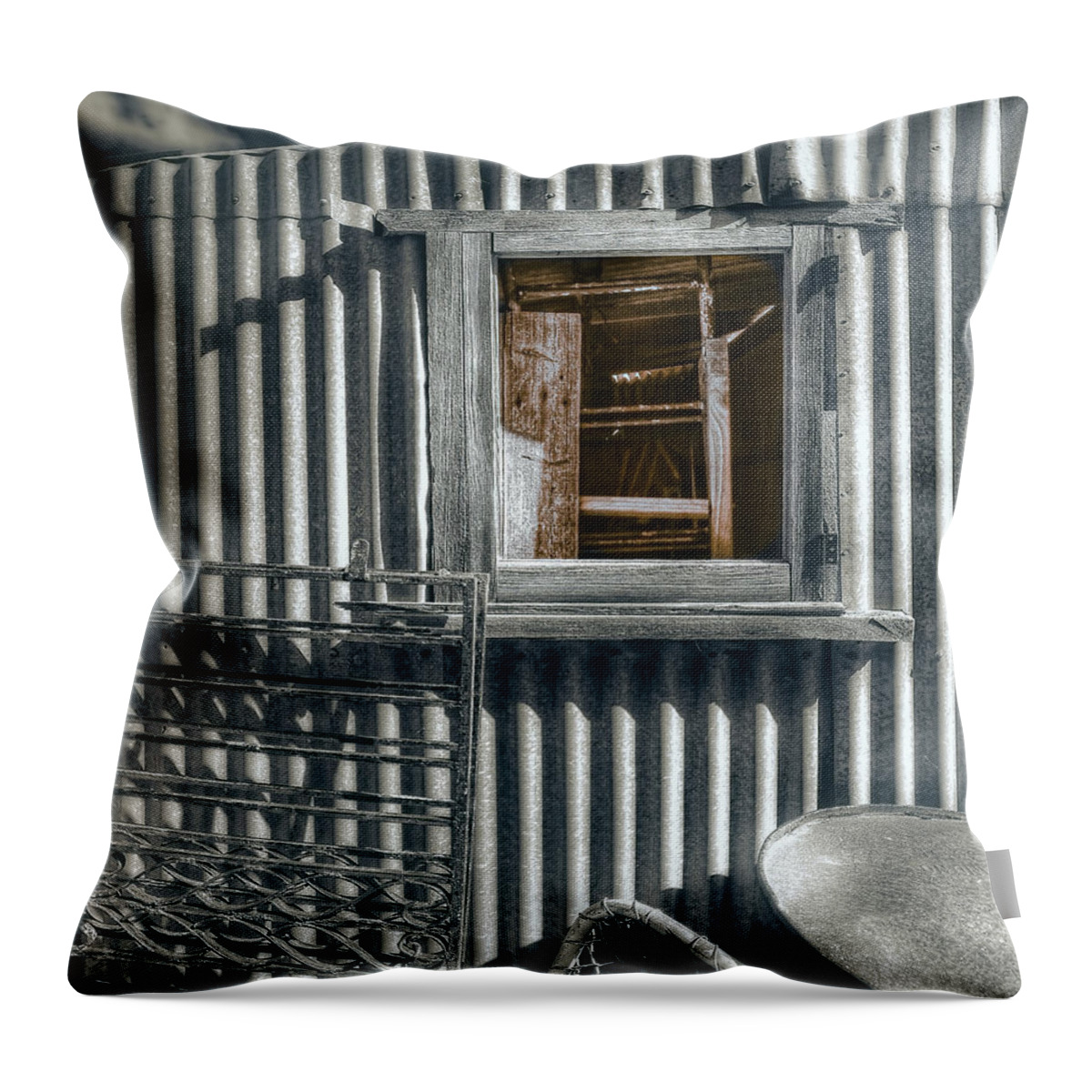 Shed Throw Pillow featuring the photograph Looking Back by Wayne Sherriff
