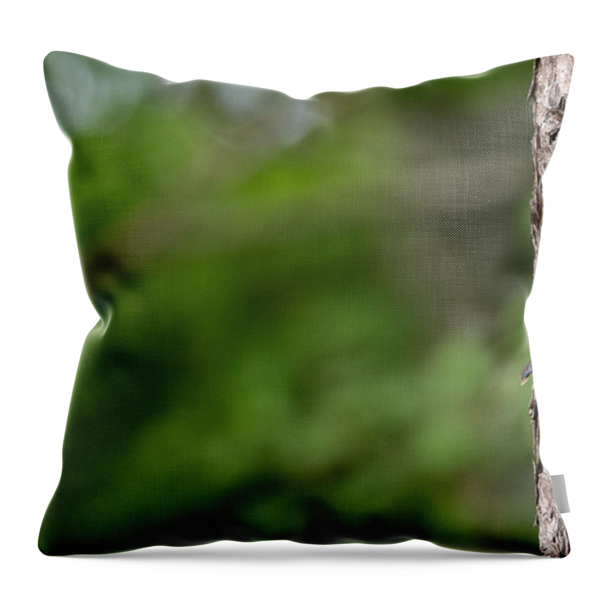Male Throw Pillow featuring the photograph Looking by David Kay