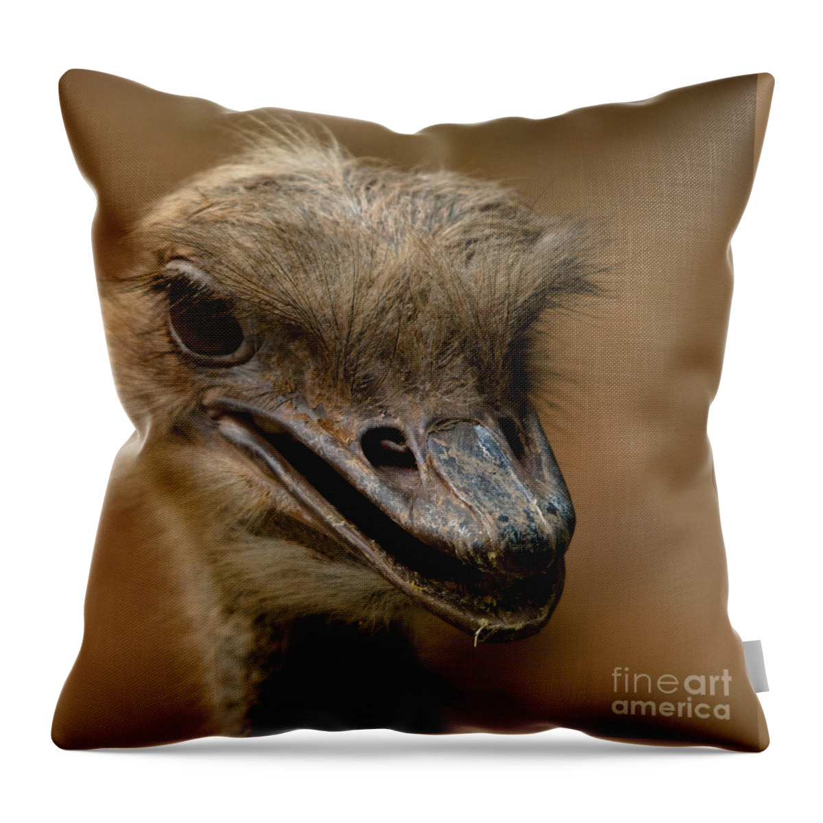Photography Throw Pillow featuring the photograph Looking for Trouble by Venetta Archer