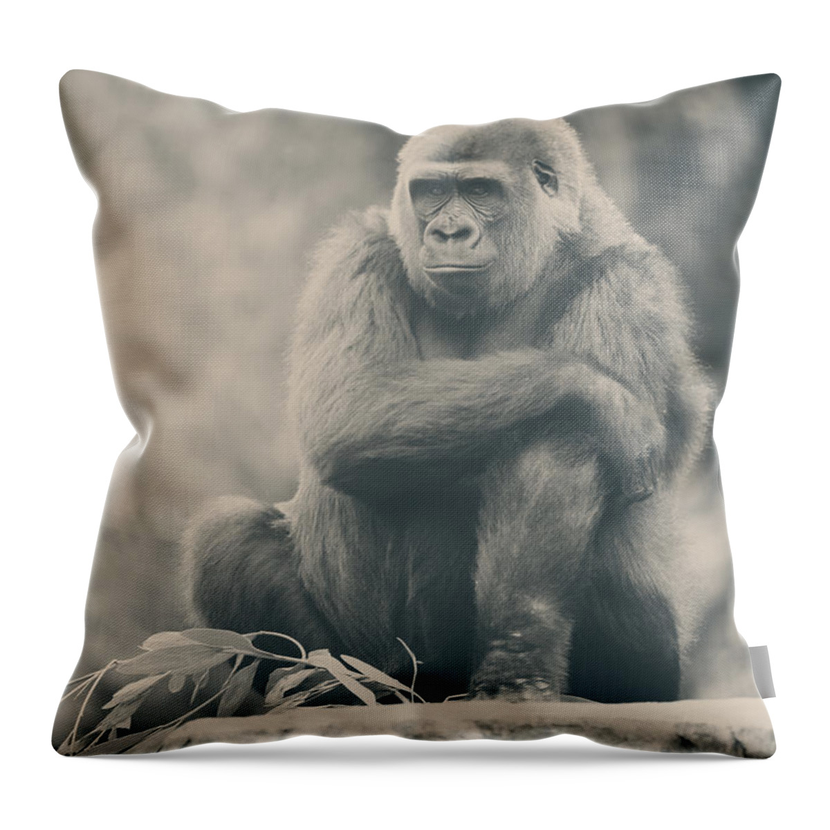 Gorillas Throw Pillow featuring the photograph Looking So Sad by Laurie Search