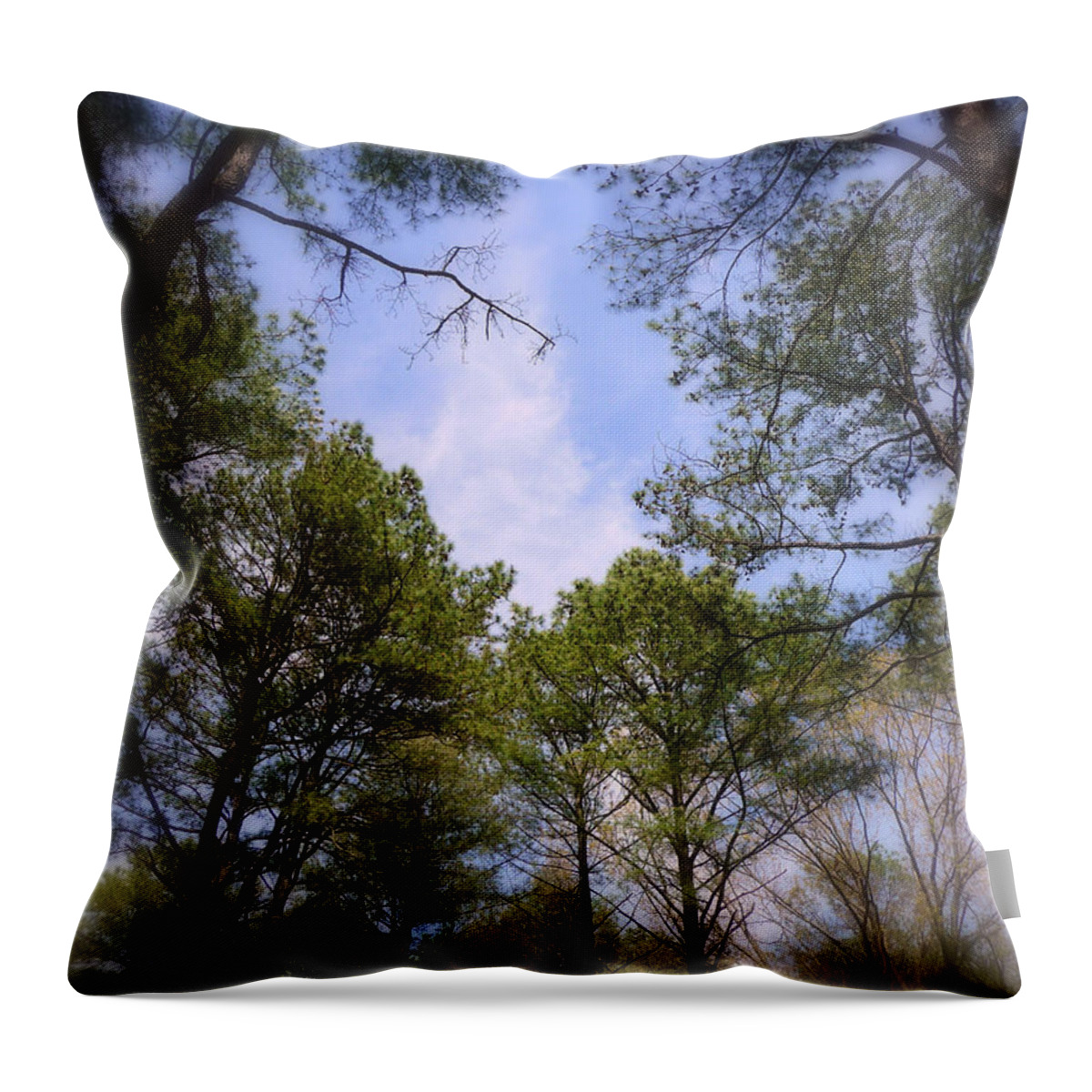 Blue Skies Throw Pillow featuring the photograph Looking Up by Jim Whalen