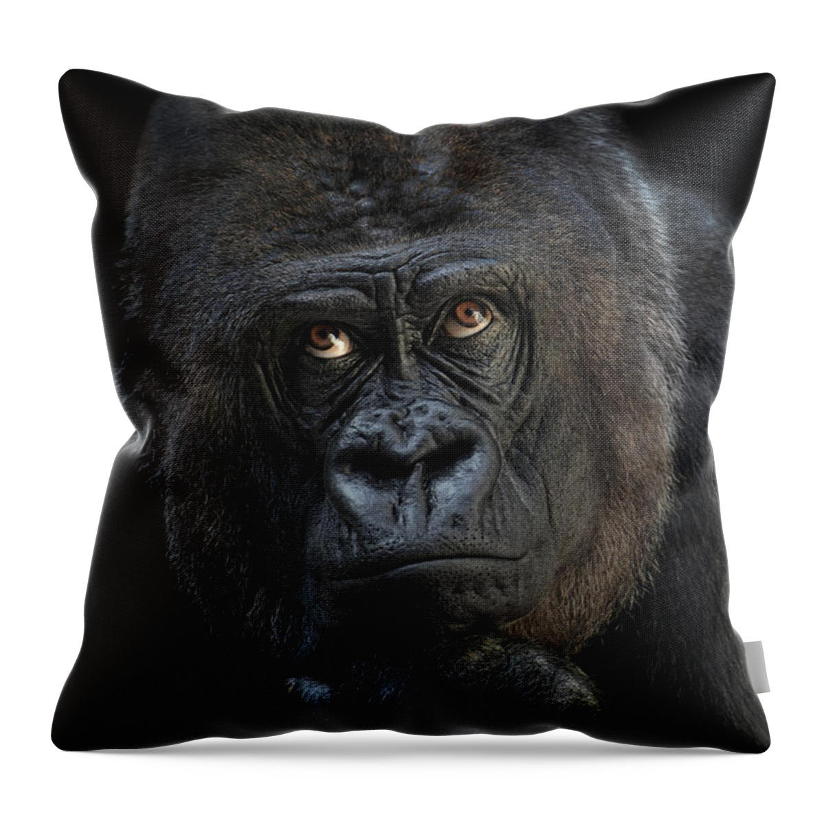 Animal Throw Pillow featuring the photograph Looking Up by Joachim G Pinkawa