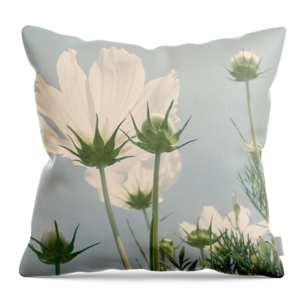Flower Throw Pillow featuring the photograph Looking Up by Kim Hojnacki